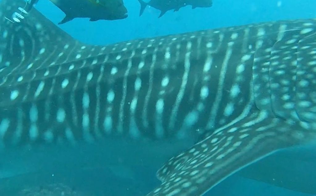 8f67eeb3-8006-4e9d-a549-2157d420b28b