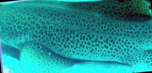 13541813-650e-4964-a5db-cd85067c7707