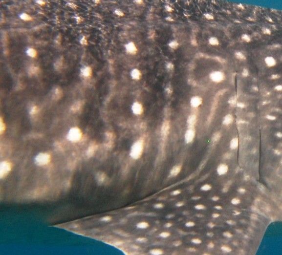 a52dd046-c8f6-4952-98a7-2a924e46f774