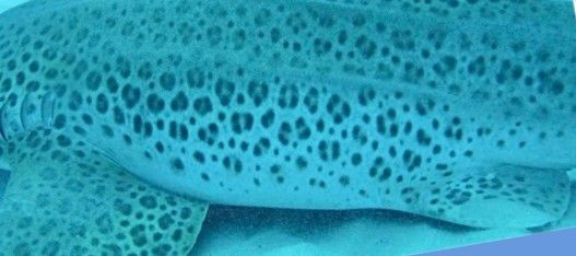 038d7119-ae49-4038-aa45-3df45a4db7fc