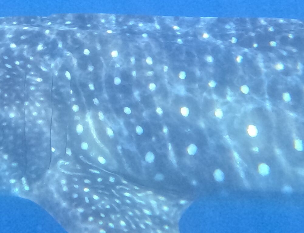 e0d1cc74-13e2-4d2a-8a40-7b16917fd55d