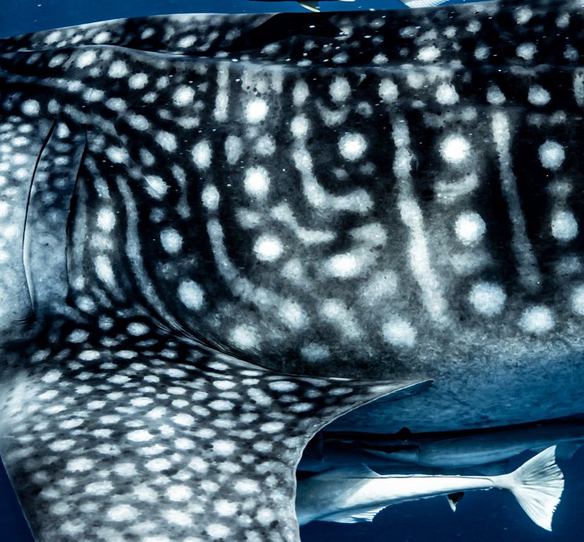 d24e37dd-3ae6-48a4-940a-2ab8cdbdec14