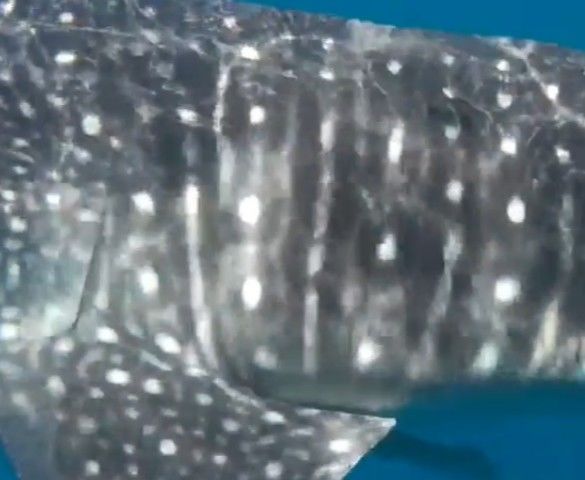 5c7ab070-a39f-4995-a814-42141259636d