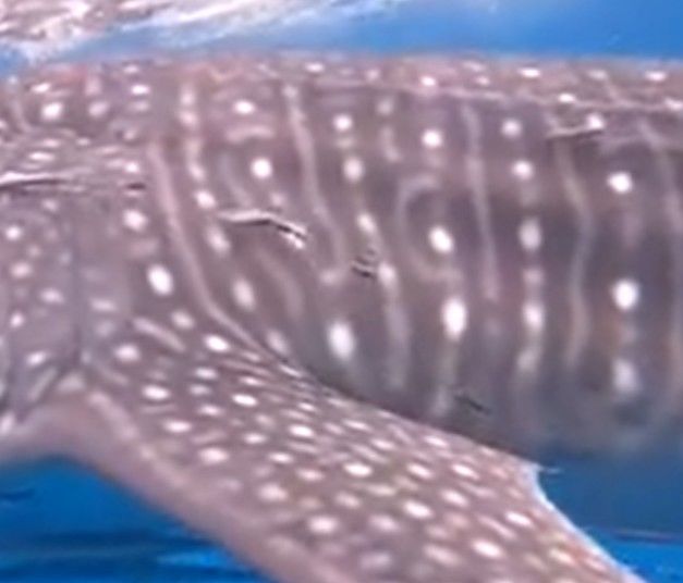 381de5e1-5300-4dfc-b21f-7d51cbe20fea