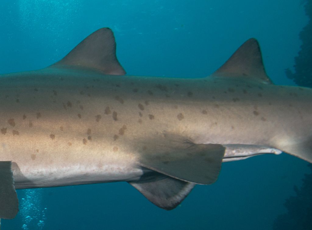 4e5321cd-9f1c-4142-a3ae-c3c22f6553dd