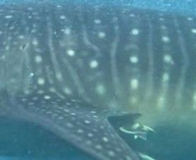 612a5b16-31cd-42e7-8c88-04de013a5a9e