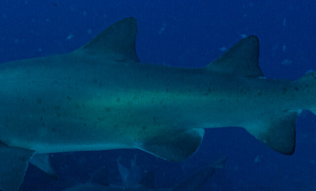 96d49936-afa2-4ddb-b9df-7ad0c3109f92