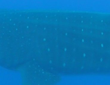 a77e9ab4-eddd-4a97-961f-2d6875501b24