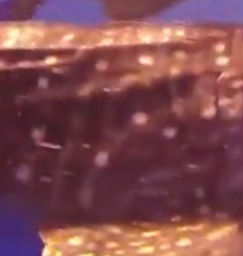 0a5fe5d3-006d-41e5-827b-82780820ec80