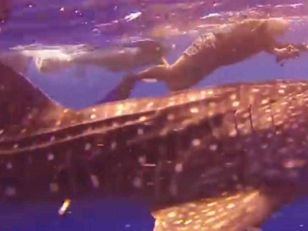 0a5fe5d3-006d-41e5-827b-82780820ec80