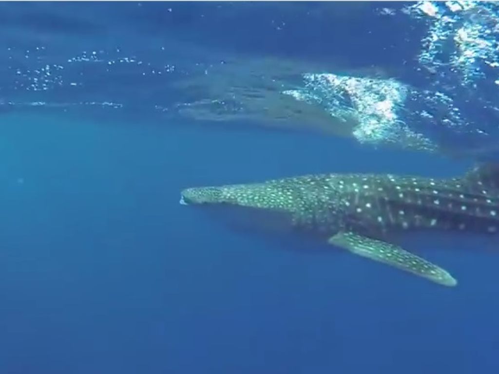 0a5fe5d3-006d-41e5-827b-82780820ec80