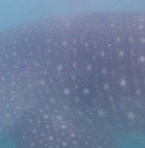 5e354854-1610-4e55-bea0-246ca23e012e