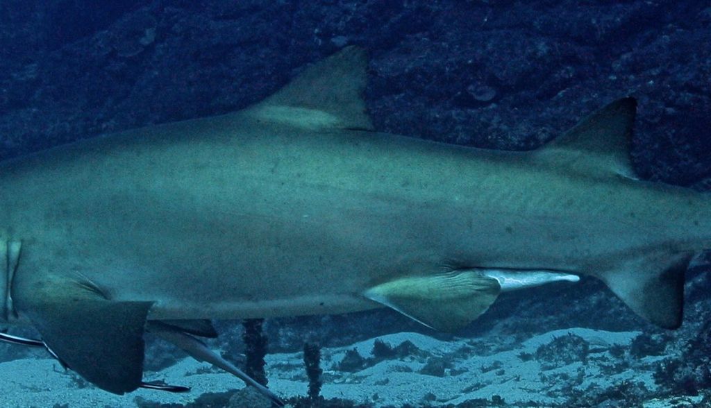 170526dd-8038-4bd6-876c-ea42a45aba53