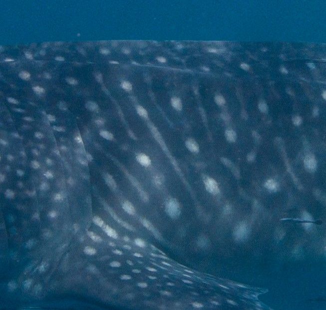 a380465d-9662-412b-8f04-66ebfe07b8d3