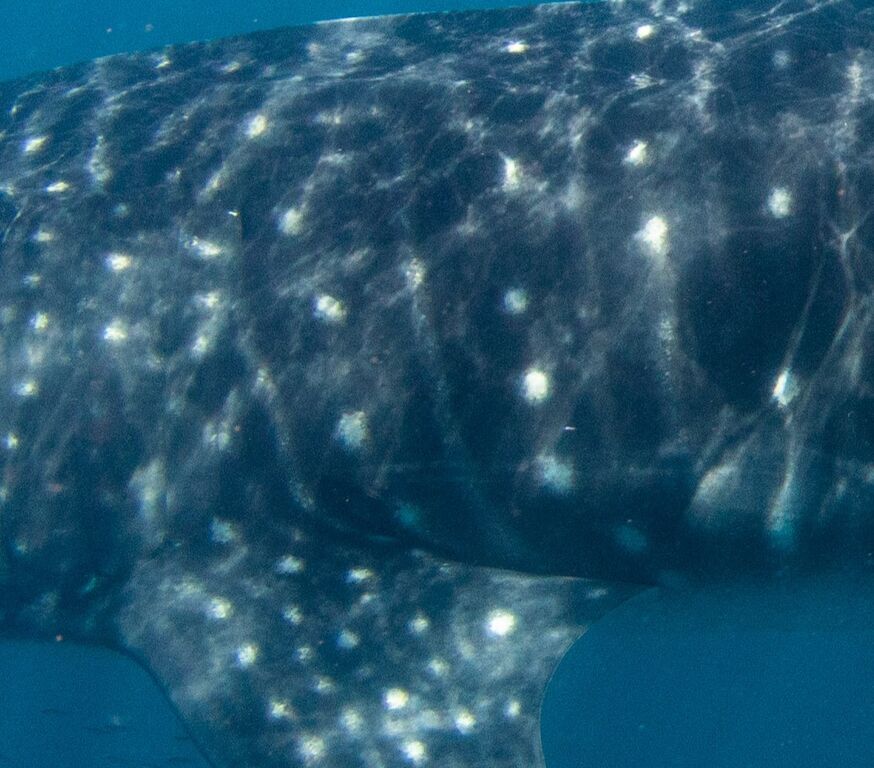 449d83f2-2e8f-41d9-a1b0-6ae632a5a75e