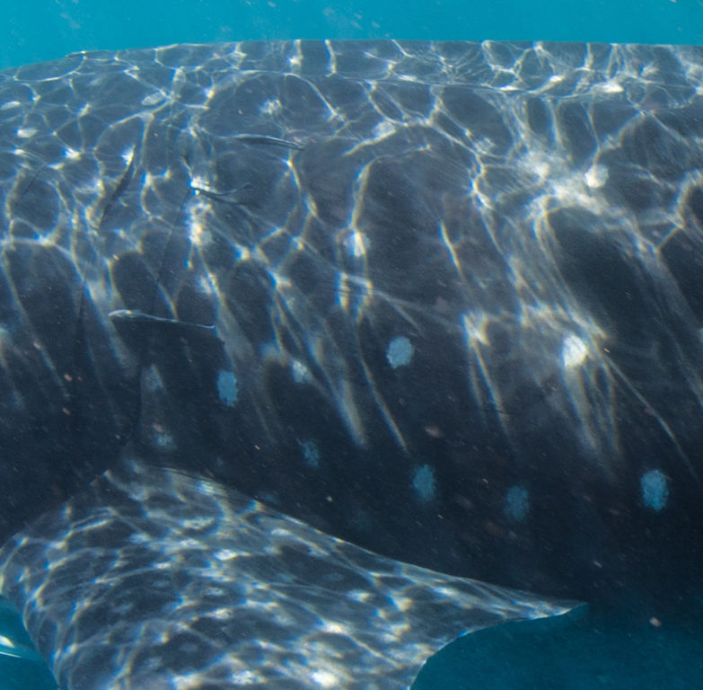 6f227070-4b2d-4ba6-a72e-61057c7d334c