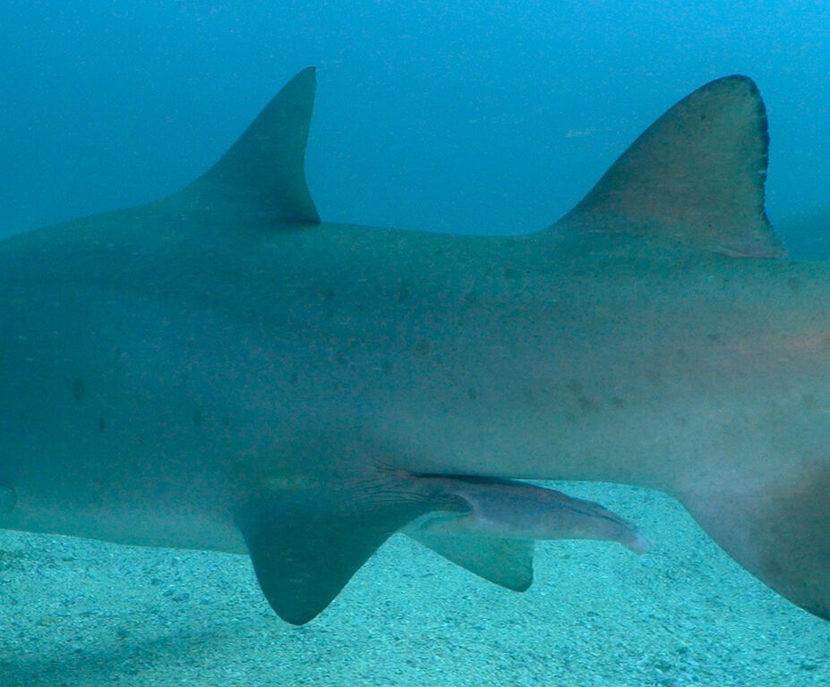 4d2f8291-bef8-4bfa-b762-cc24fb41578e