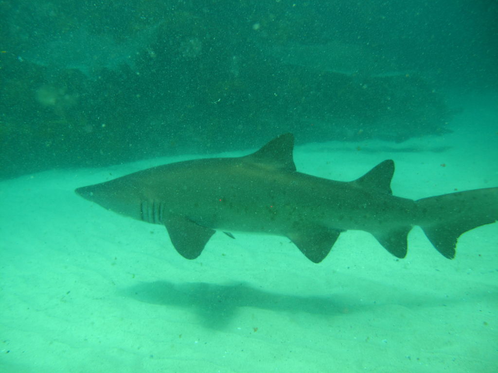 d3b1b8d8-6039-4097-add6-6f360aa1426c