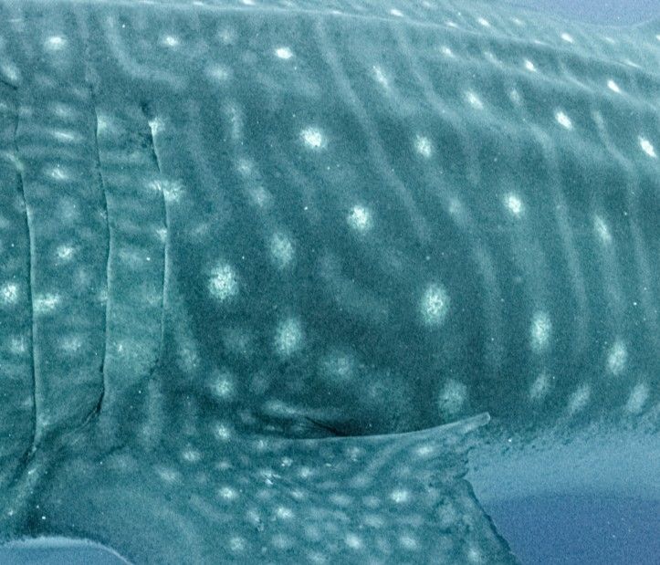 e9214e78-e9c9-47b5-8c19-7eee300d7daa