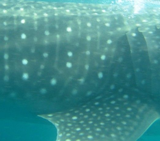 7fd2d62b-6f9a-4387-9e07-e216c41168c1