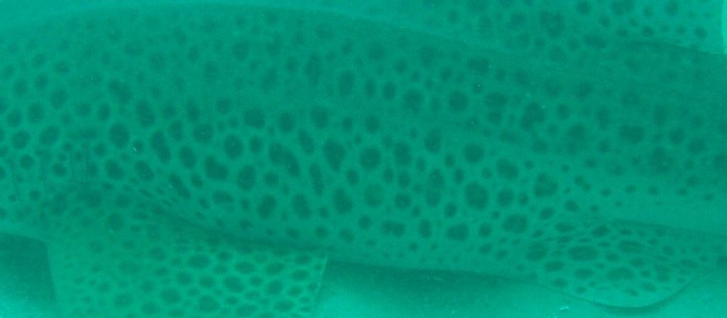 ceea2325-a09a-4b47-a599-c05194f47c6e