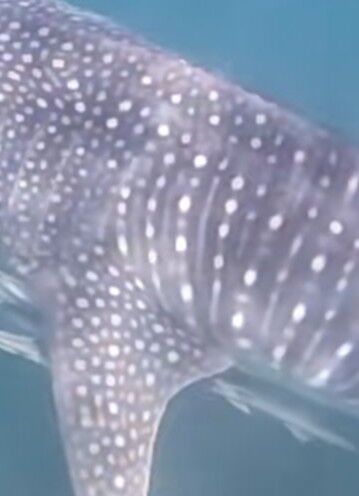 8b790256-ee90-4272-9b10-716563b5278e