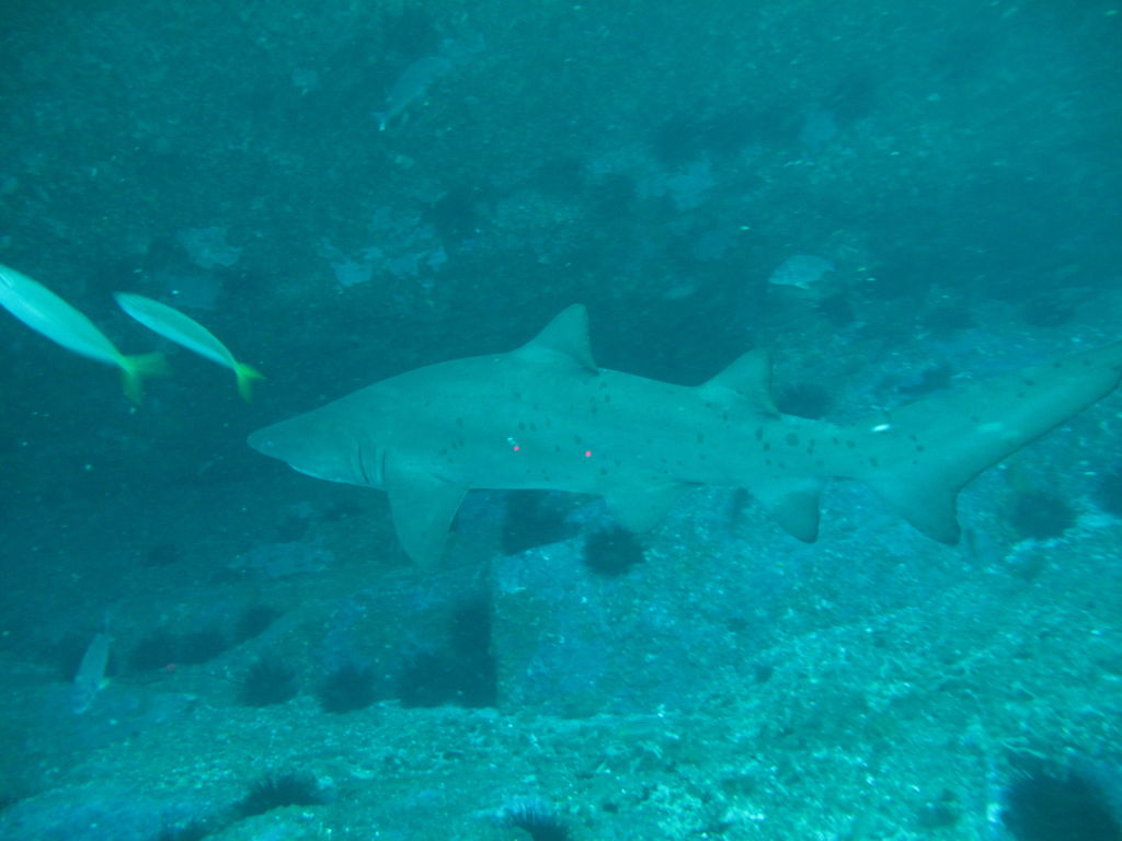 6b8c205a-eede-4b01-8621-79e3c895006b