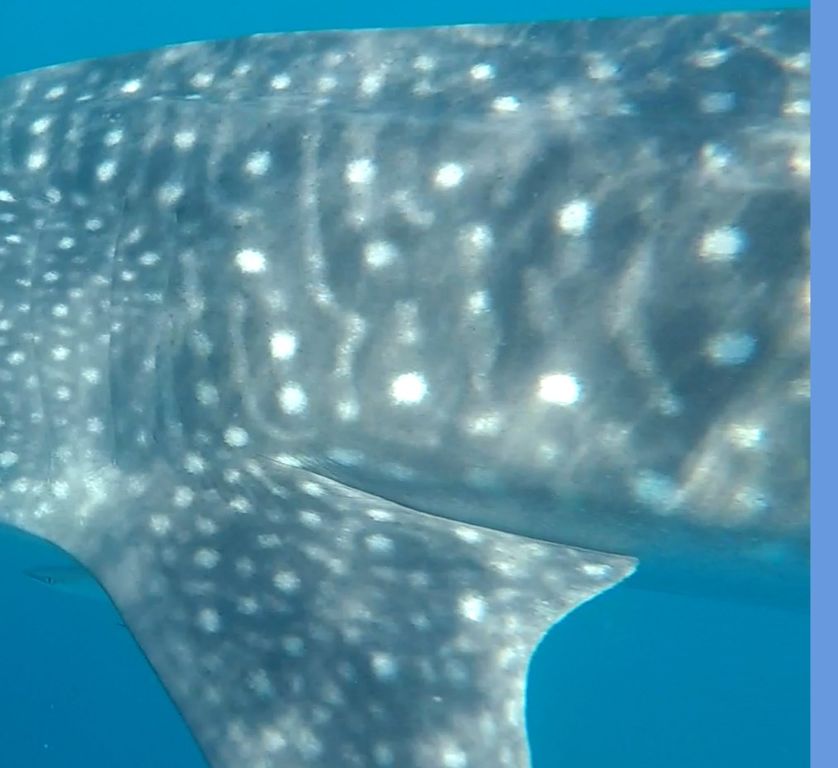 98c87c6f-10c1-4986-b52c-5f94d1c5999e