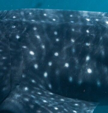 f1384e8e-4a1d-4a9f-809c-2330ad0e13c1