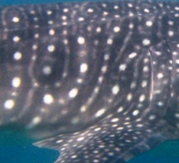 6bf69d31-82fb-484d-b5c9-6b45c6b61988