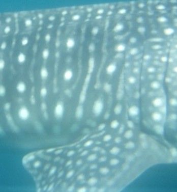 2547a662-908f-48c3-8760-68a2e5003ac2