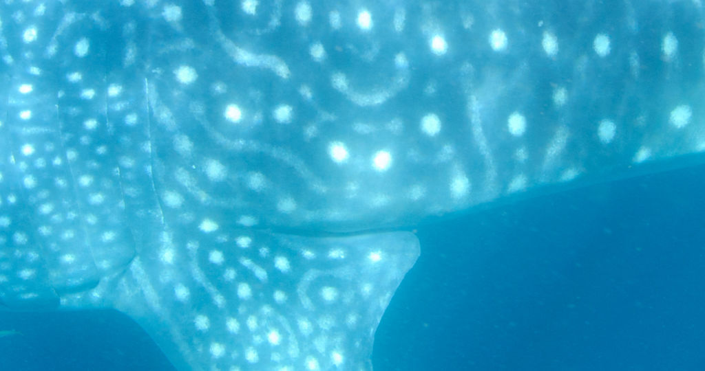 b9c052b3-45bc-43f1-a6e3-aec18ae8551f