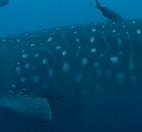 cabb57aa-3bdb-4624-9016-30288f90d443