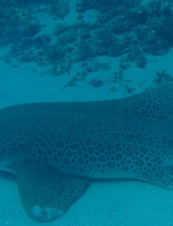 a3425047-68de-4ddf-af06-ae643a5b2242