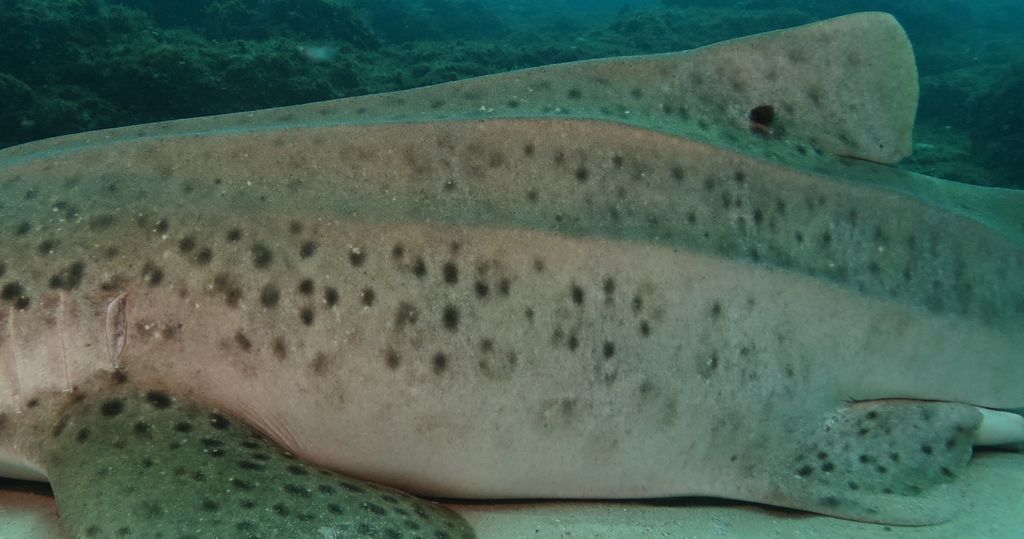 8b3db0aa-32e3-4308-889d-ee8ff9bbf7df