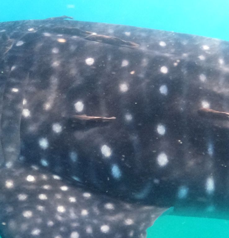 f7709649-0c84-4b6b-b6c2-af7d6b5ecf92