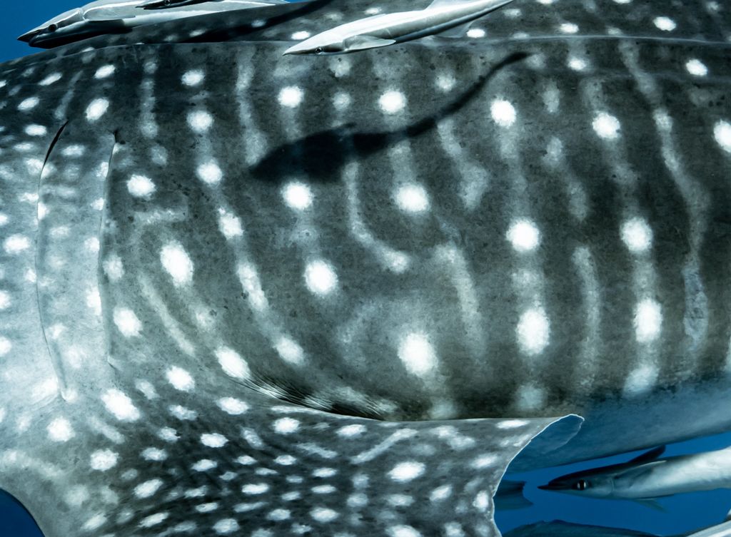 2d333152-e224-4acc-a43a-49cc3bb9357f