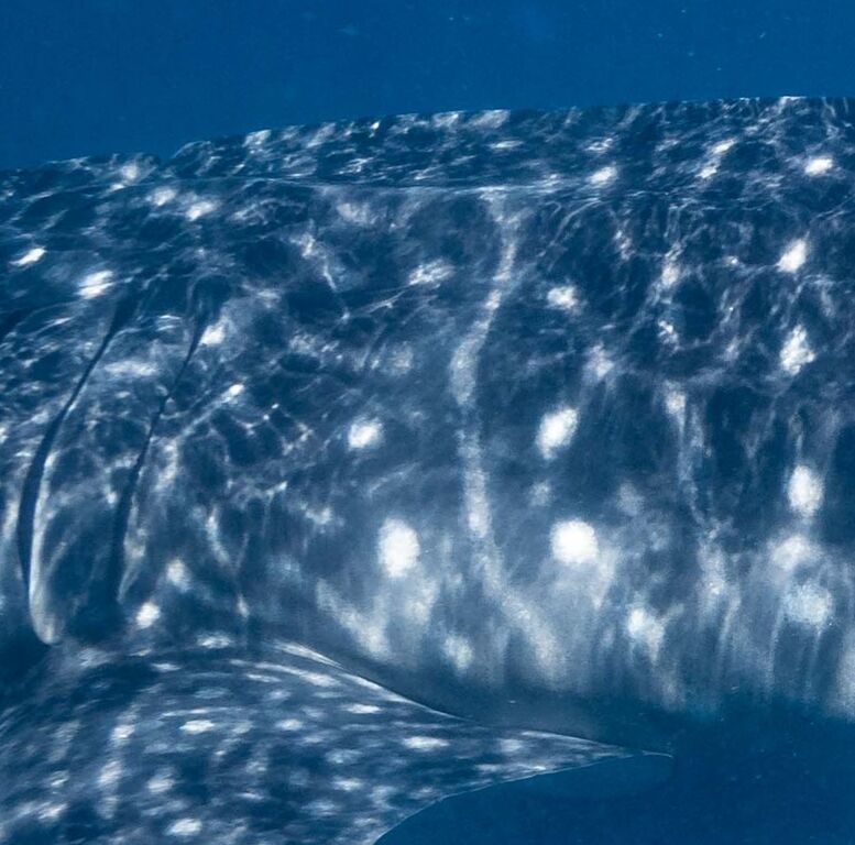 3c4bfeb8-60cd-41f5-bfb1-51b723db946c