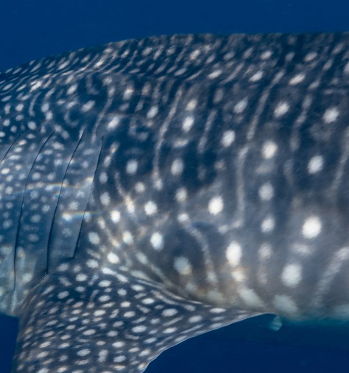 c1d0da44-9060-49a6-9409-f12c49f16e88