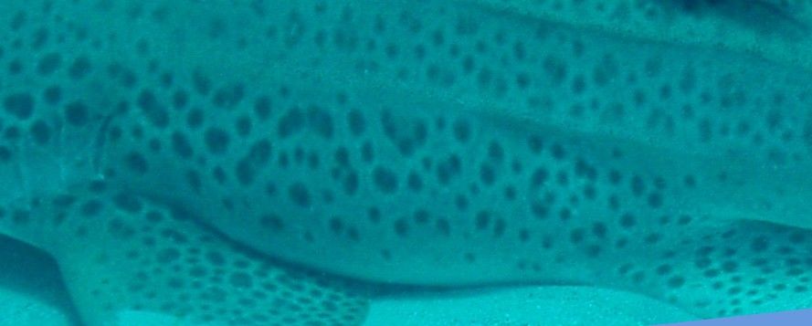 61c3d1c4-6928-4842-b70b-b36149abba1c