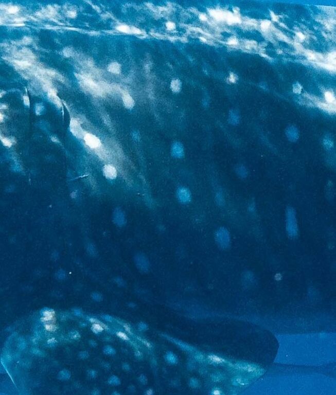 7c8896d6-6902-4674-8b60-31eeae6d0b0e