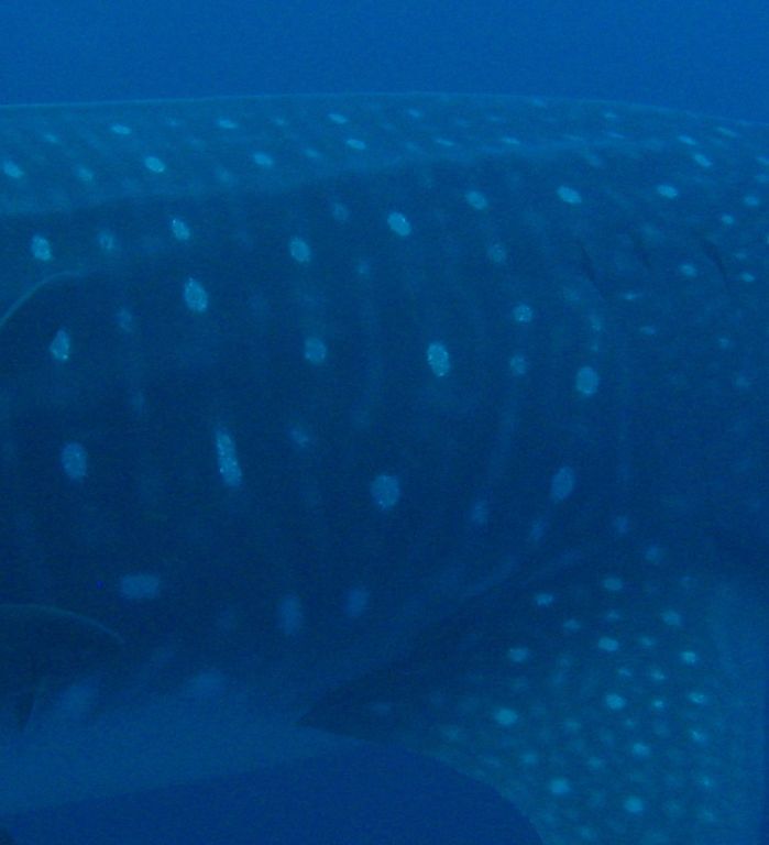 d55536f6-d576-4925-94f0-3c664a08d107