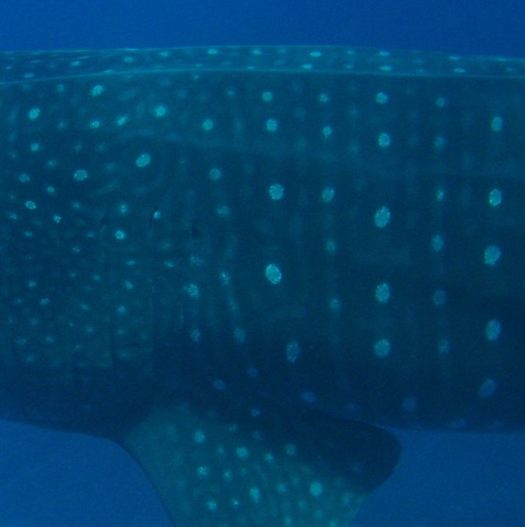 d55536f6-d576-4925-94f0-3c664a08d107