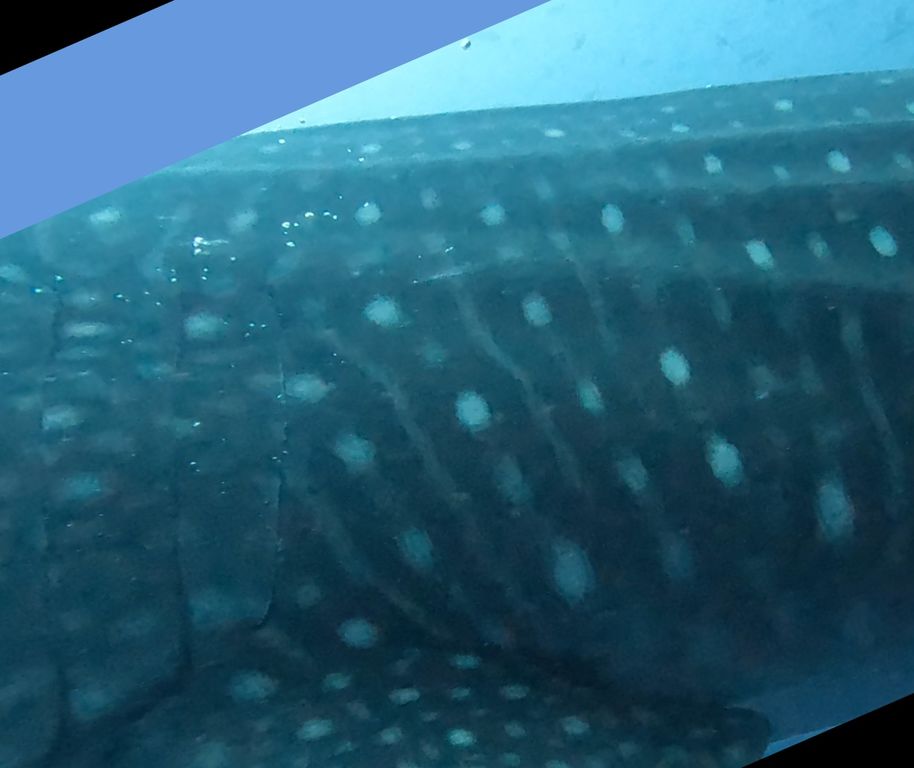 a5897d42-0e19-4edc-bf52-ab43a99a9abb