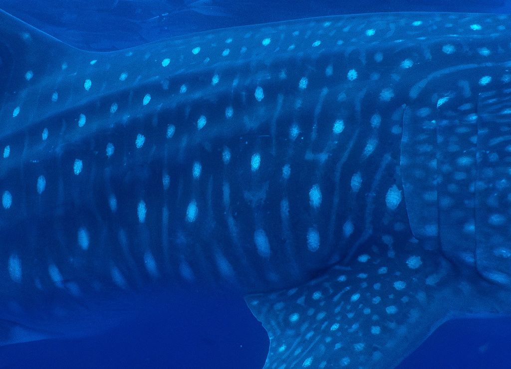 a5897d42-0e19-4edc-bf52-ab43a99a9abb