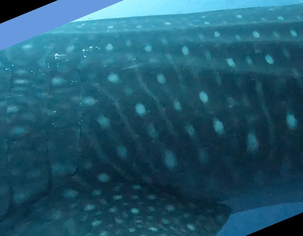 a5897d42-0e19-4edc-bf52-ab43a99a9abb