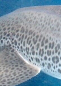 ccec62c5-a69f-4b1c-afc4-43e238e24ac2