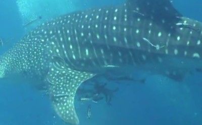 f92d88f9-8290-4940-a8aa-1a09bcb27bd4