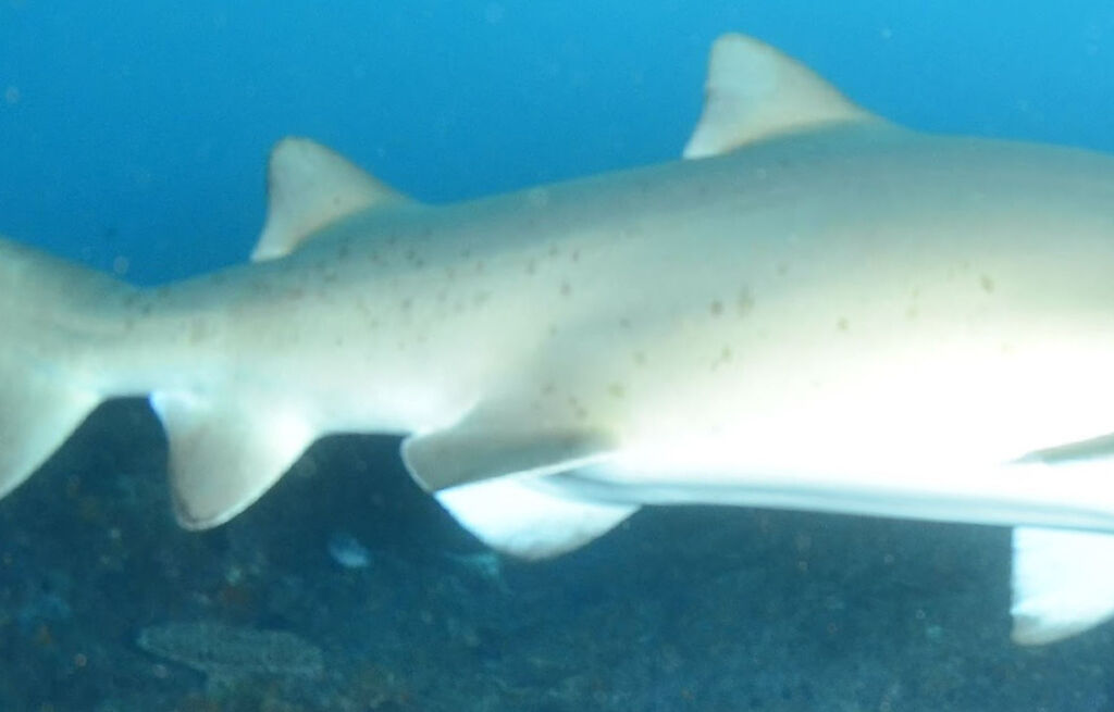 1f7d84a7-c635-476d-9727-4f4fa39b8fd1