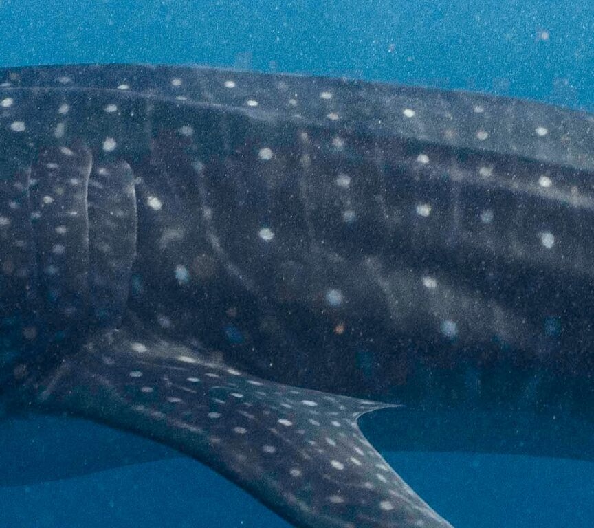 de4b70f2-0c10-493b-9c03-0d0bf9e09bc4